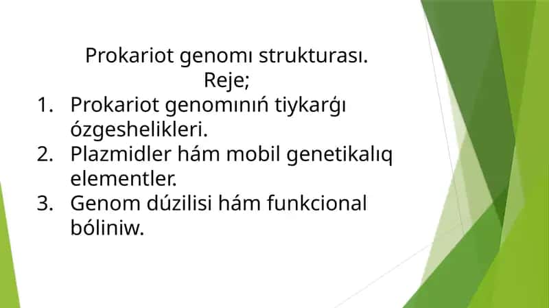 Prokariot genomı strukturası