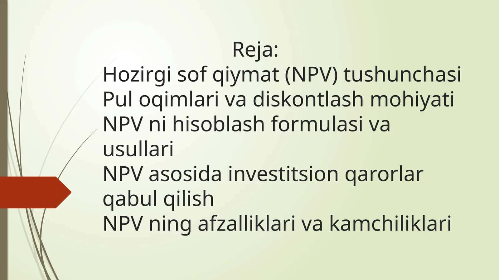 Hozirgi sof qiymat ( NPV) tushunchasi