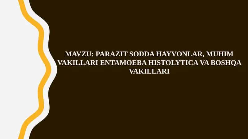 Parazit Sodda Hayvonlar va Muhim Vakillari Entamoeba Histolytica
