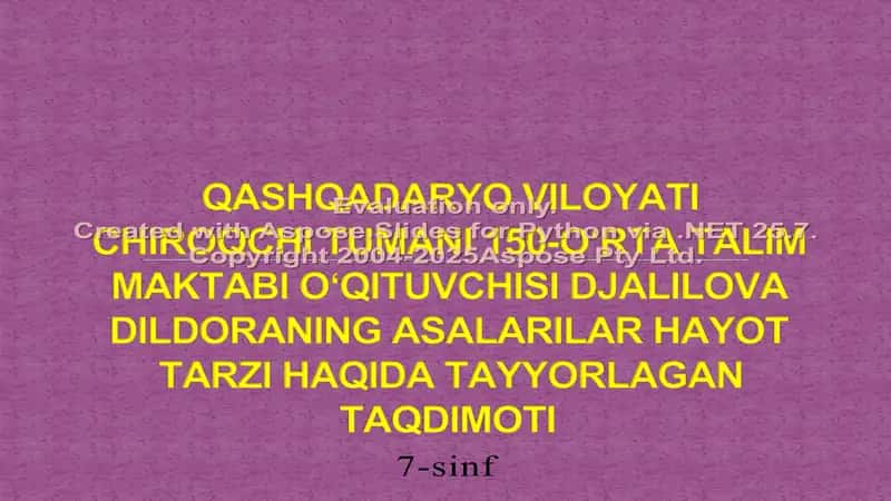 Asalarilarning Hayot Tarzi Haqida Taqdimot