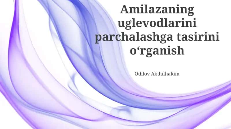 Amilazaning Uglevodlarini Parchalashga Tasirini Oʻrganish