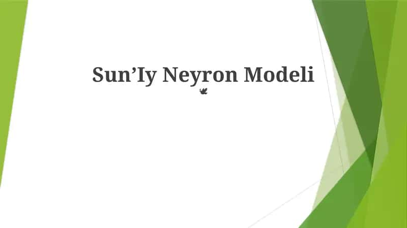 Sun'Iy Neyron Modeli