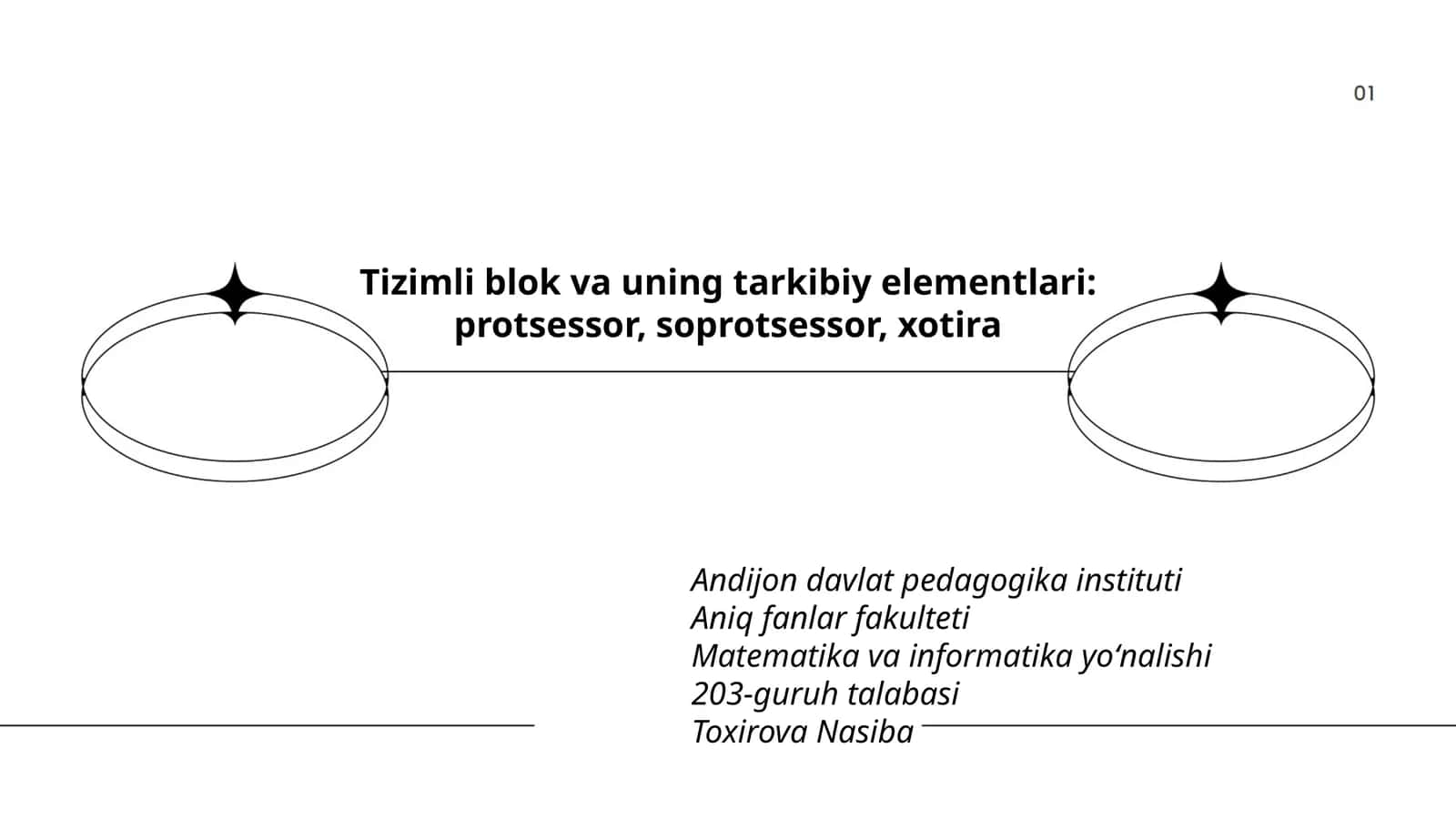 Matematika va informatika yoʻnalishi 203-guruh talabasi