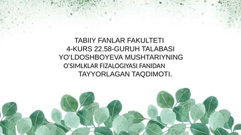 O'Simliklardan Mineral O'g'itlardan Foydalanishning Fizologikasoslari