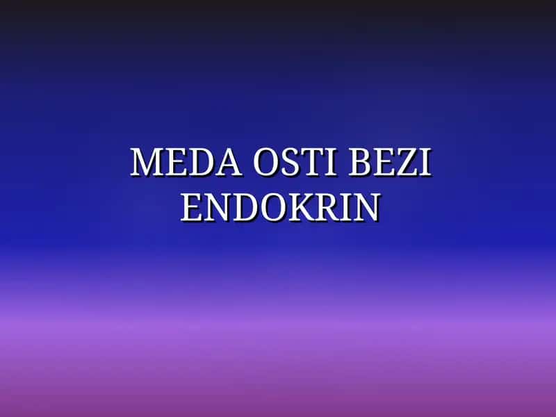 MEDA OSTI BEZI ENDOKRIN