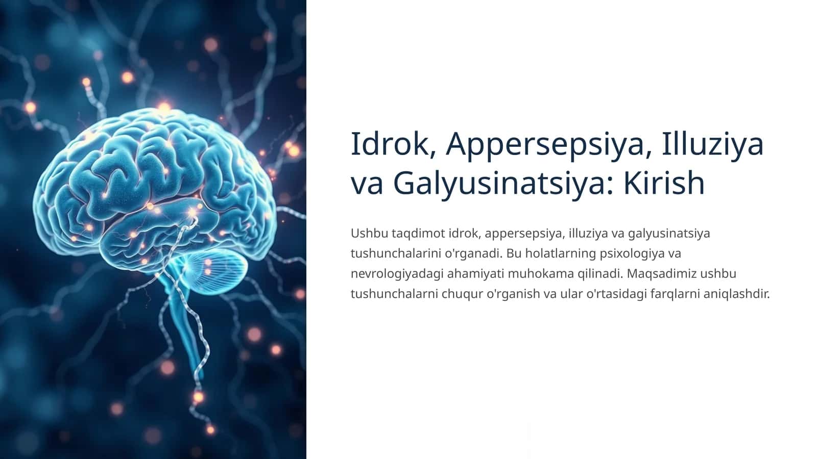Idrok, Appersepsiya, Illuziya va Galyusinatsiya: Kirish