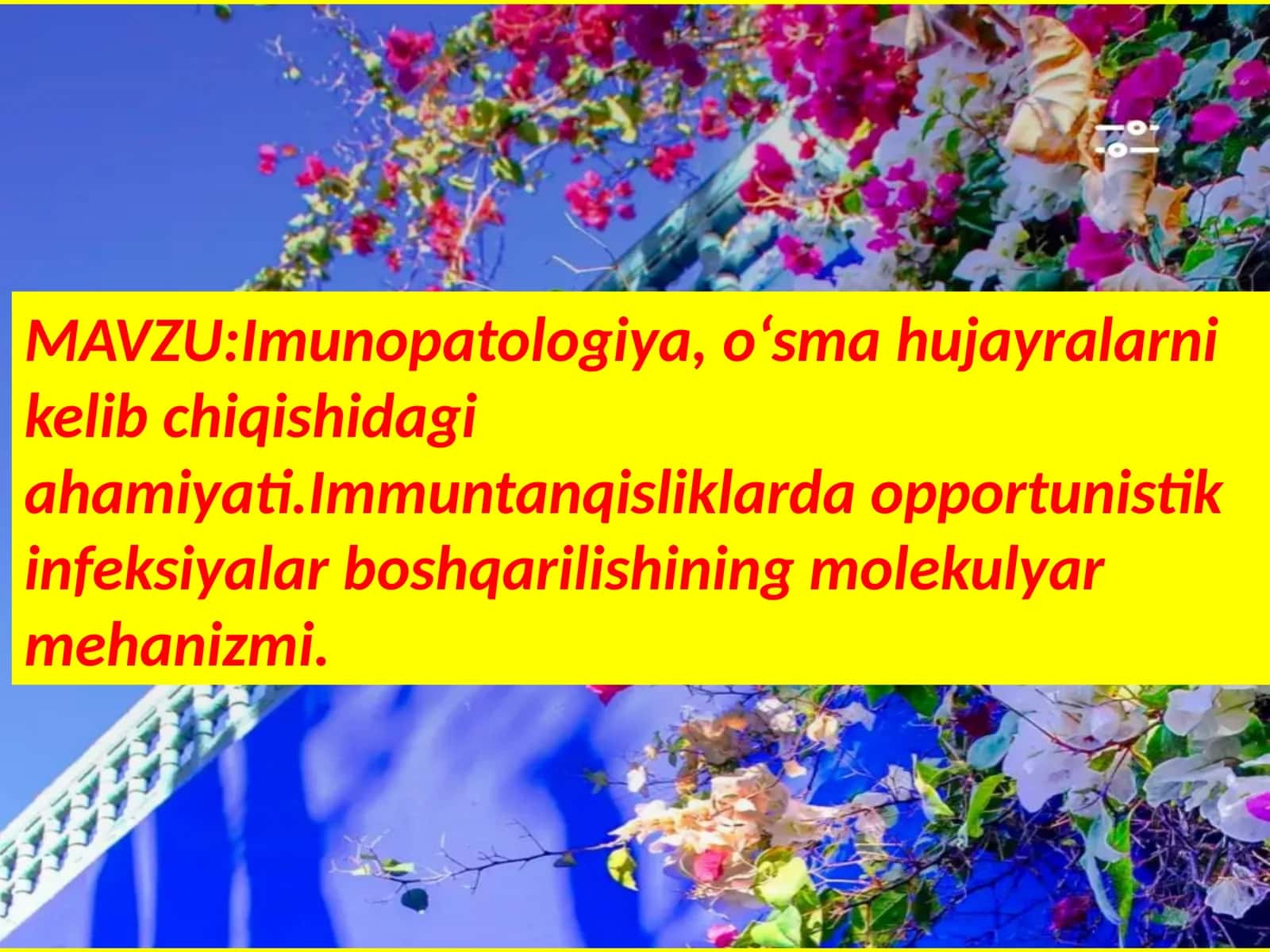 Imunopatologiya,o‘smahujayralarnikelibchiqishidagiahamiyati.Immuntanqisliklardaopportunistikinfeksiyalarboshqarilishiningmolekulyarmehanizmi