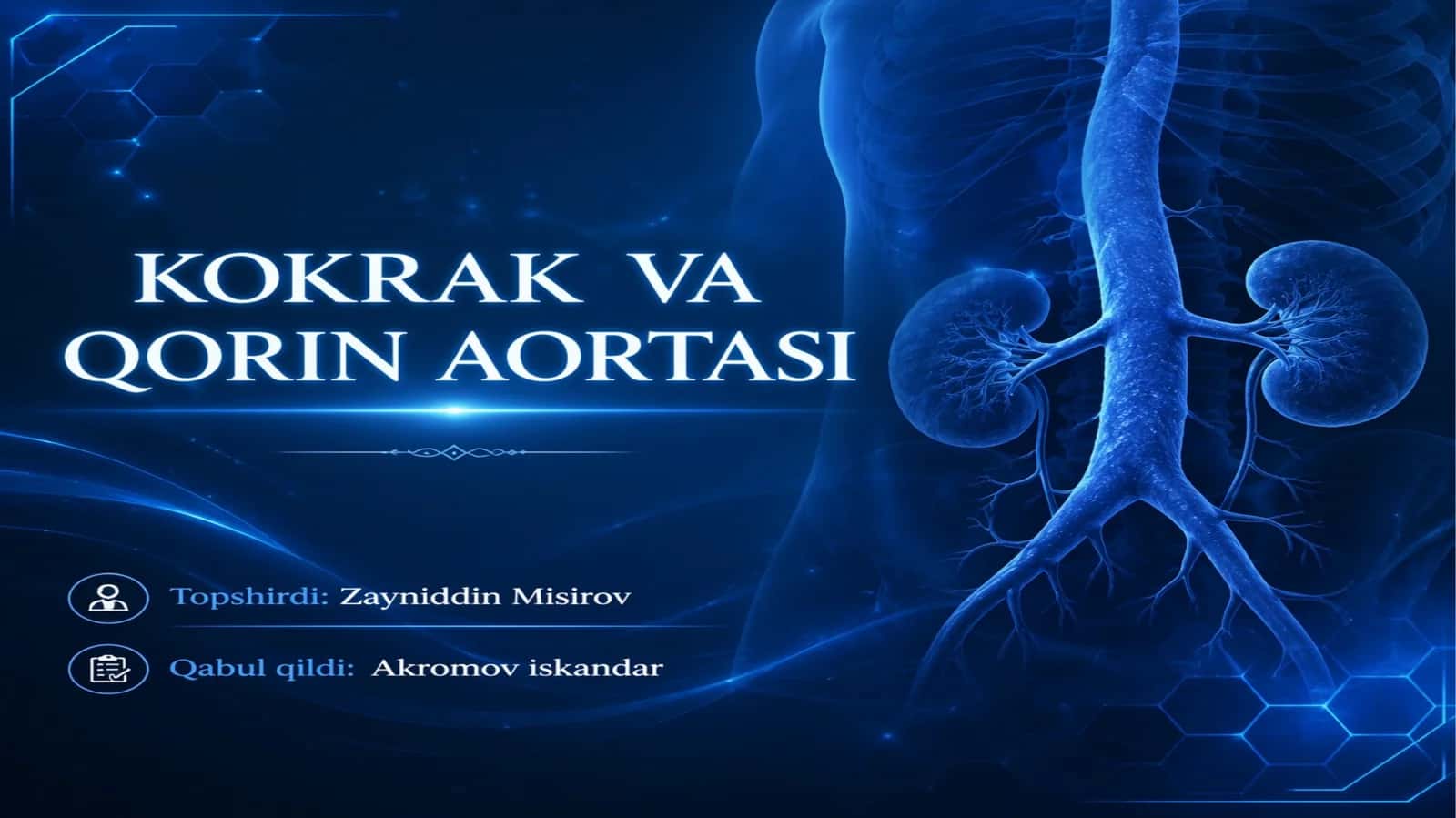 Kokrak va qorin aortasi