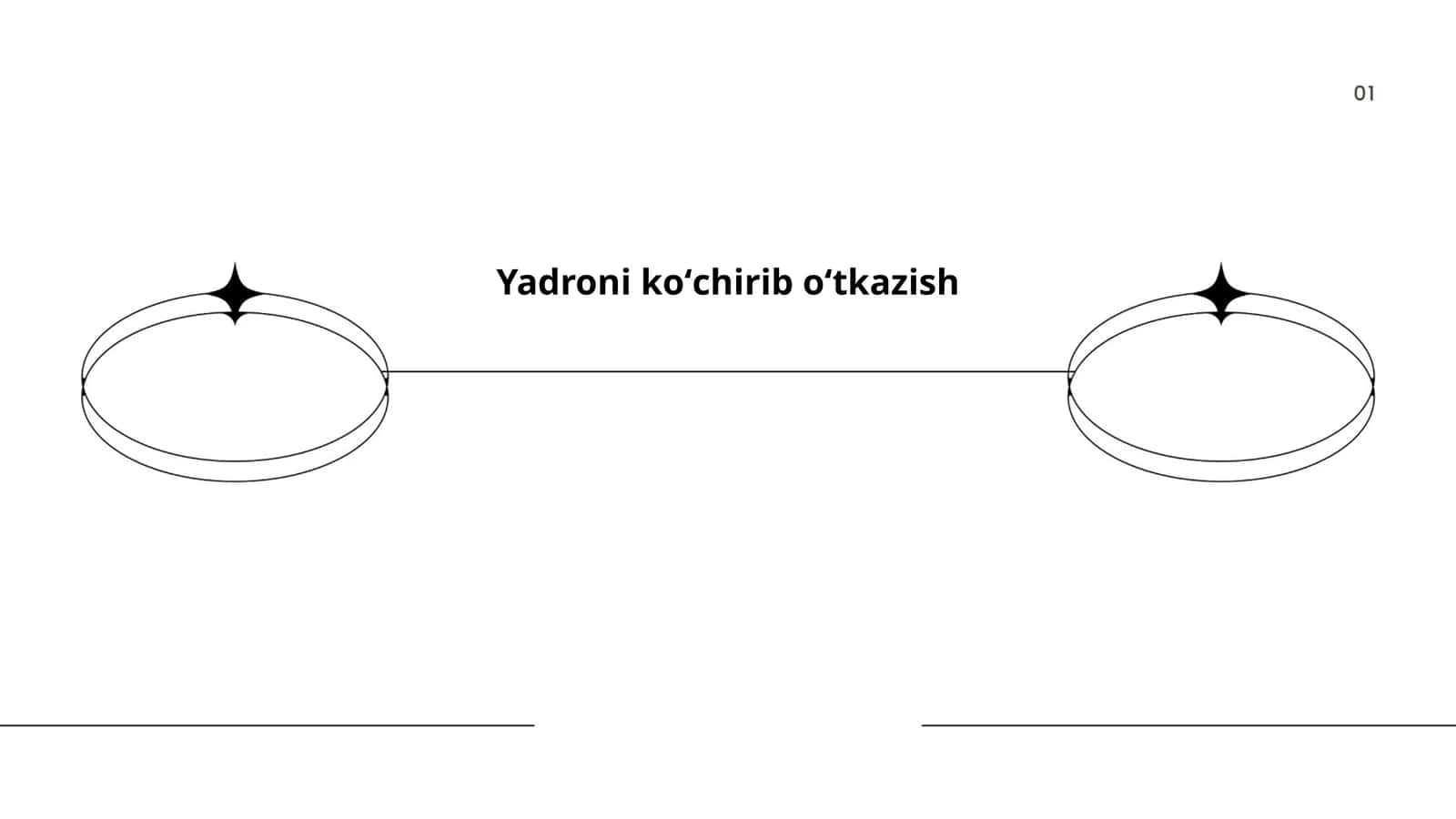 Yadroni replikatsiya jarayoni