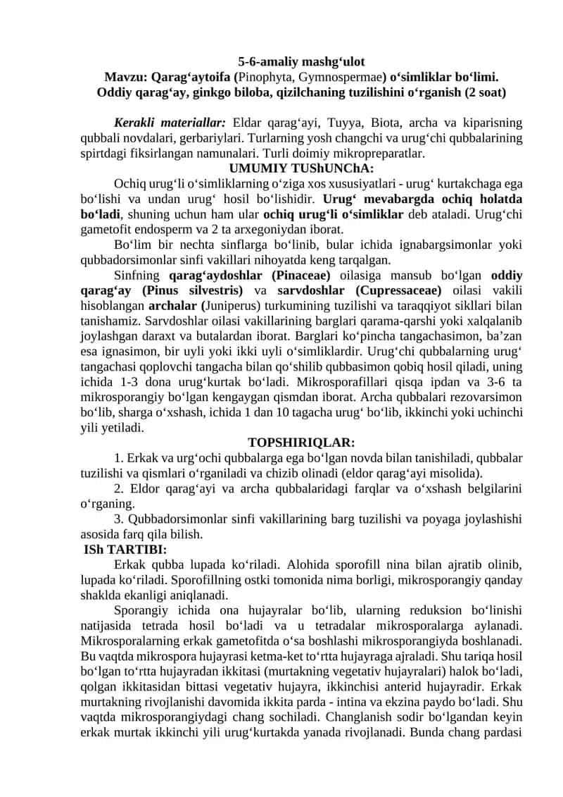 Qarag‘aytoifa (Pinophyta, Gymnospermae) o‘simliklar