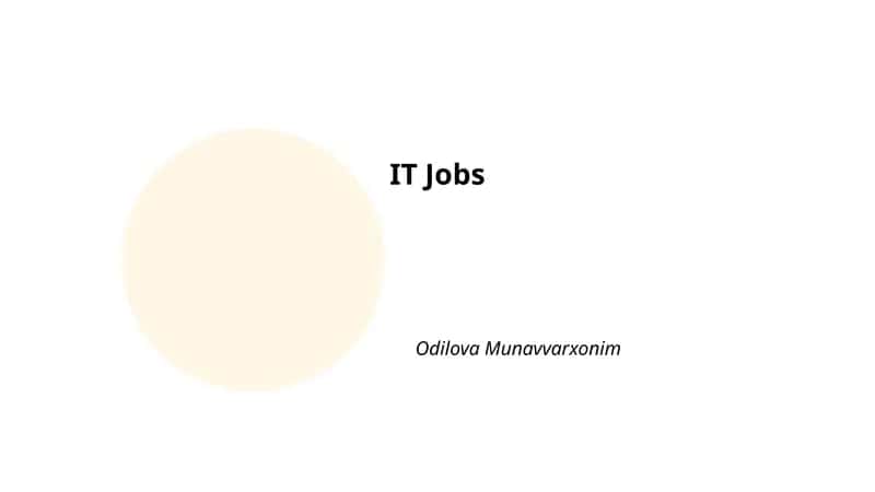 Software Developer