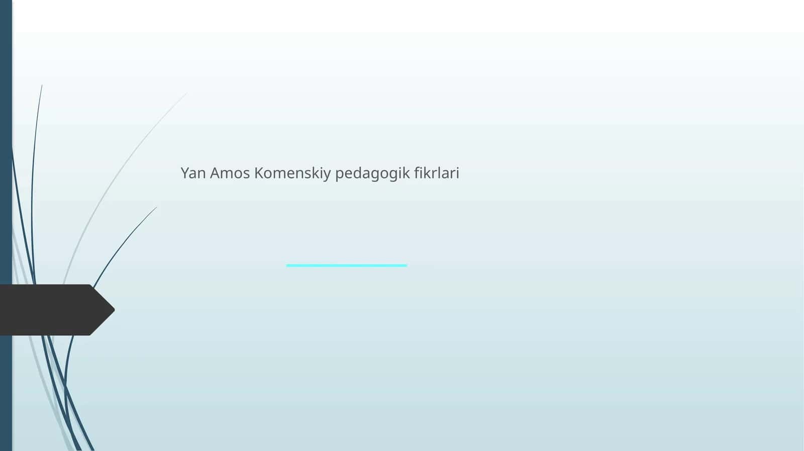 Yan Amos Komenskiy pedagogik fikrlari