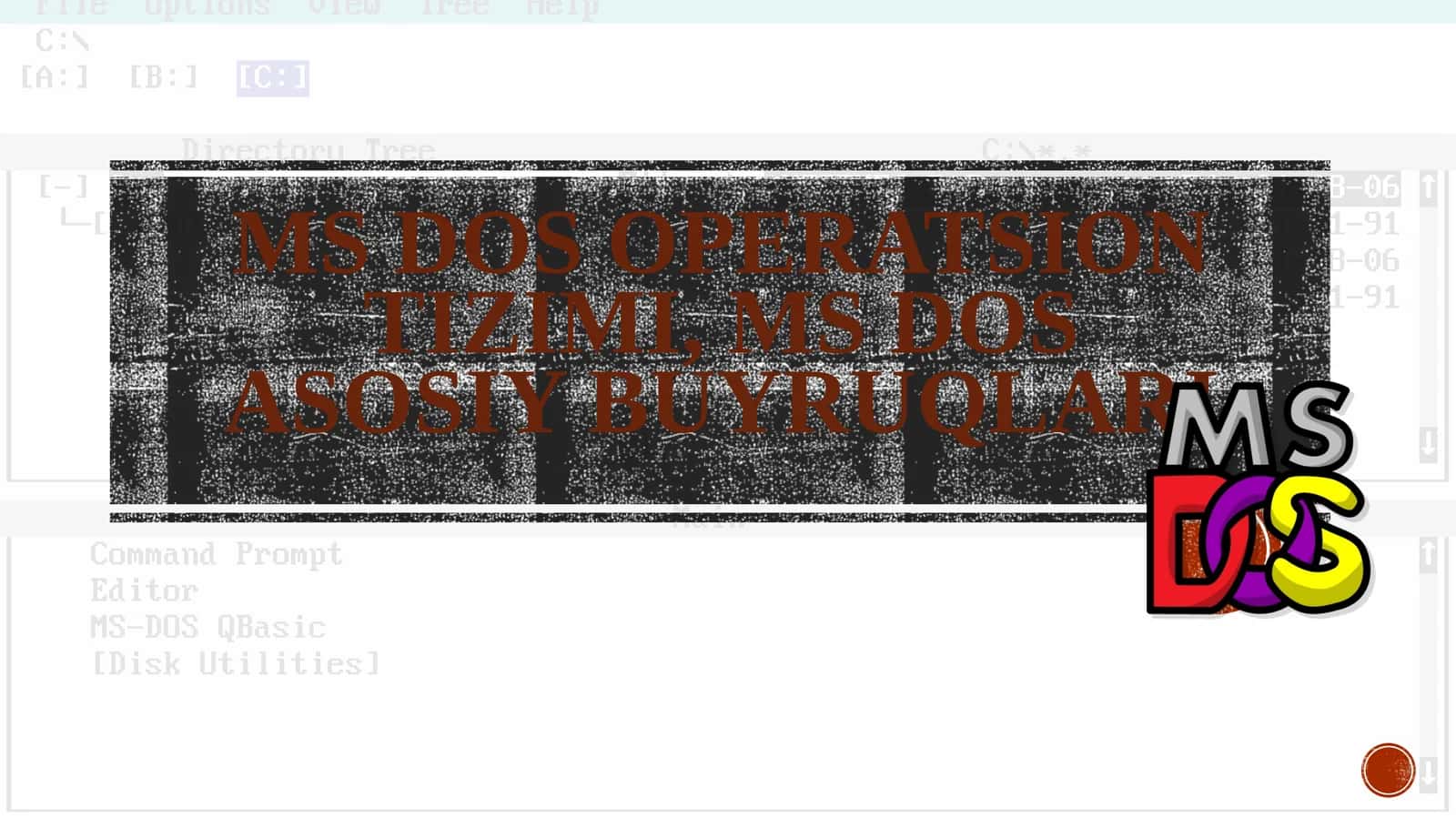 MS DOS operatsion tizimi, MS DOS asosiy buyruqlari
