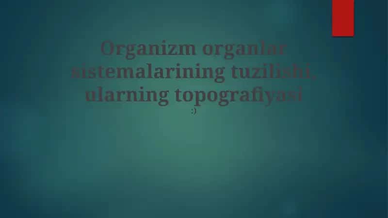 Organlararo munosabatlar tizimi