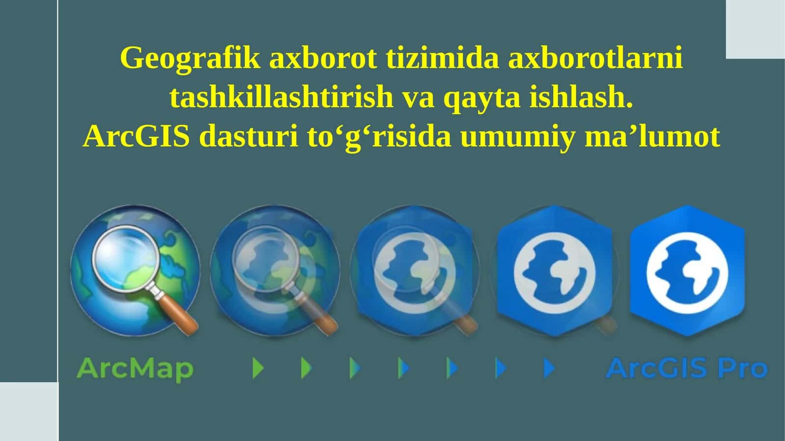 Geografik axborot tizimi va axborotlarni tashkil etish va qayta ishlash