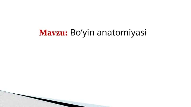 Bo‘yi anatomiyasi