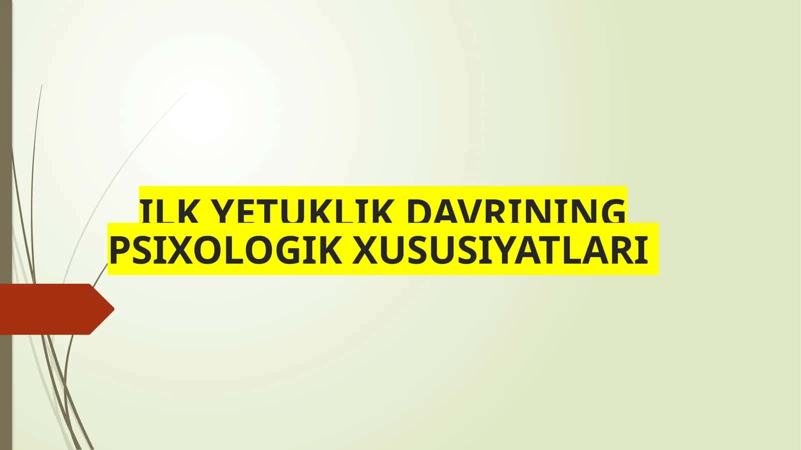 ILK YETUKLIK DAVRINING PSIXOLOGIK XUSUSIYATLARI