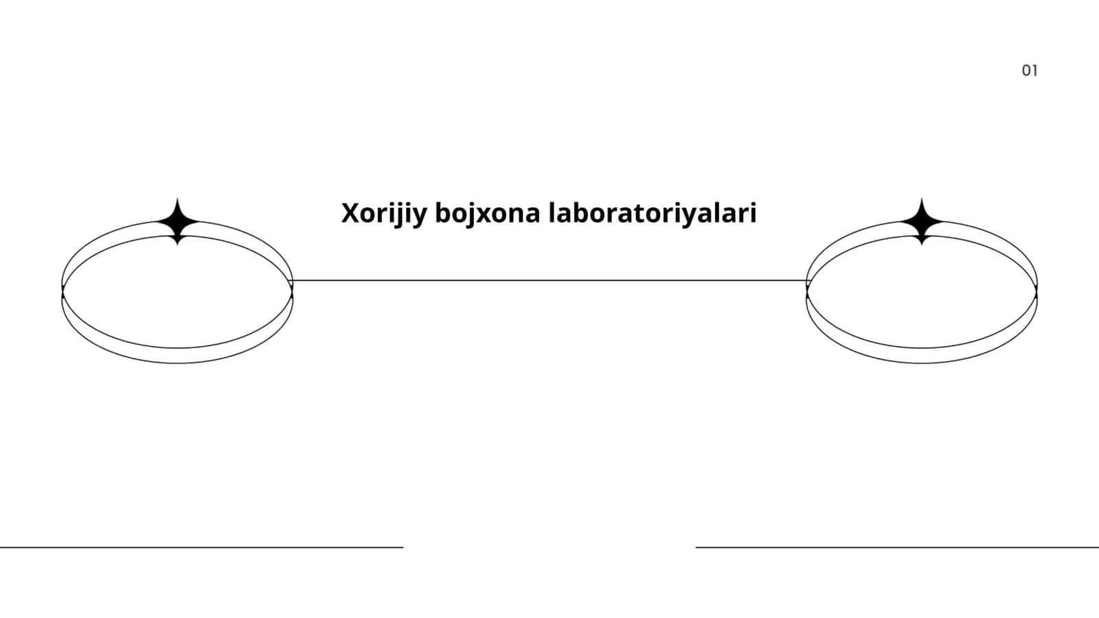 Xorijiy bojxona laboratoriyalari