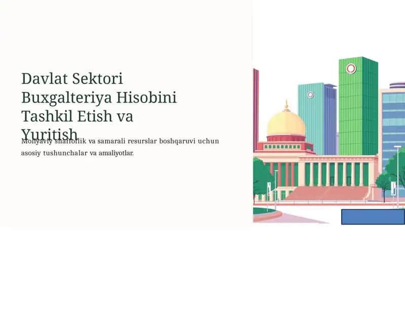 Davlat Sektori Buxgalteriya Hisobini Tashkil Etish va Yuritish