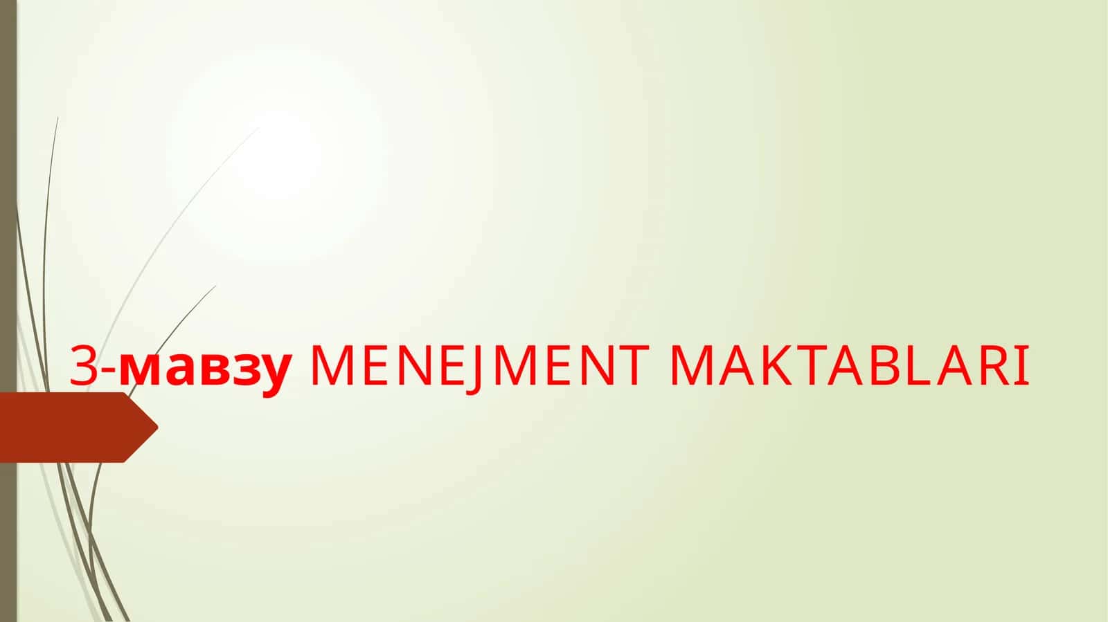 MENEJMENT MAKTABLARI