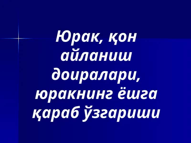 Юрак