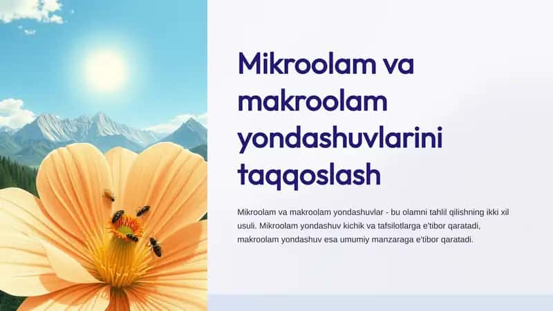 Mikroolam va makroolam yondashuvlarini taqqoslash