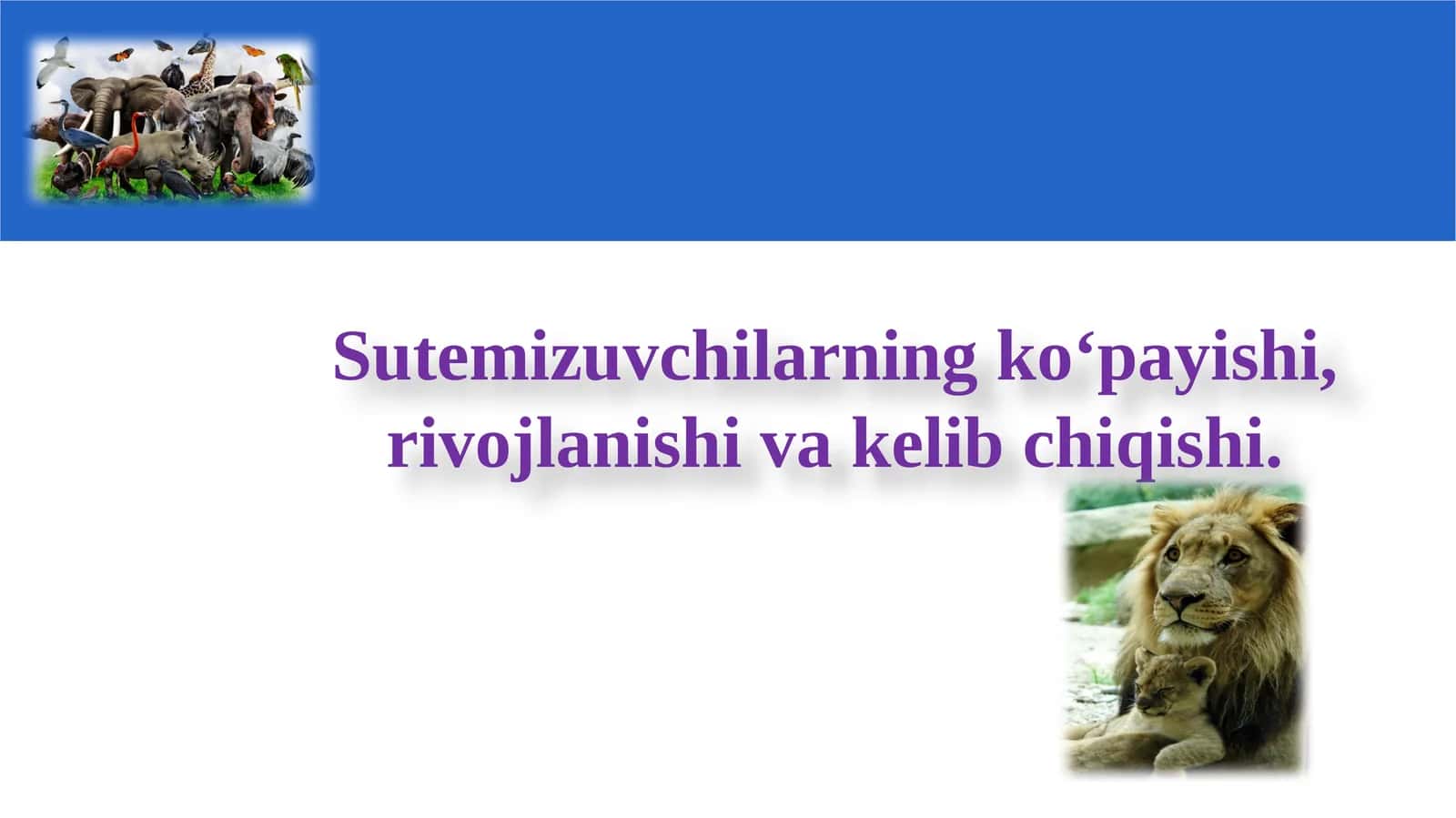 Sutemizuvchilarning ko‘payishi, rivojlanishi va kelibchiqishi