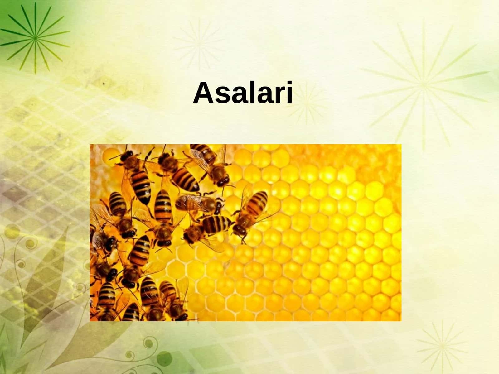 Asalari