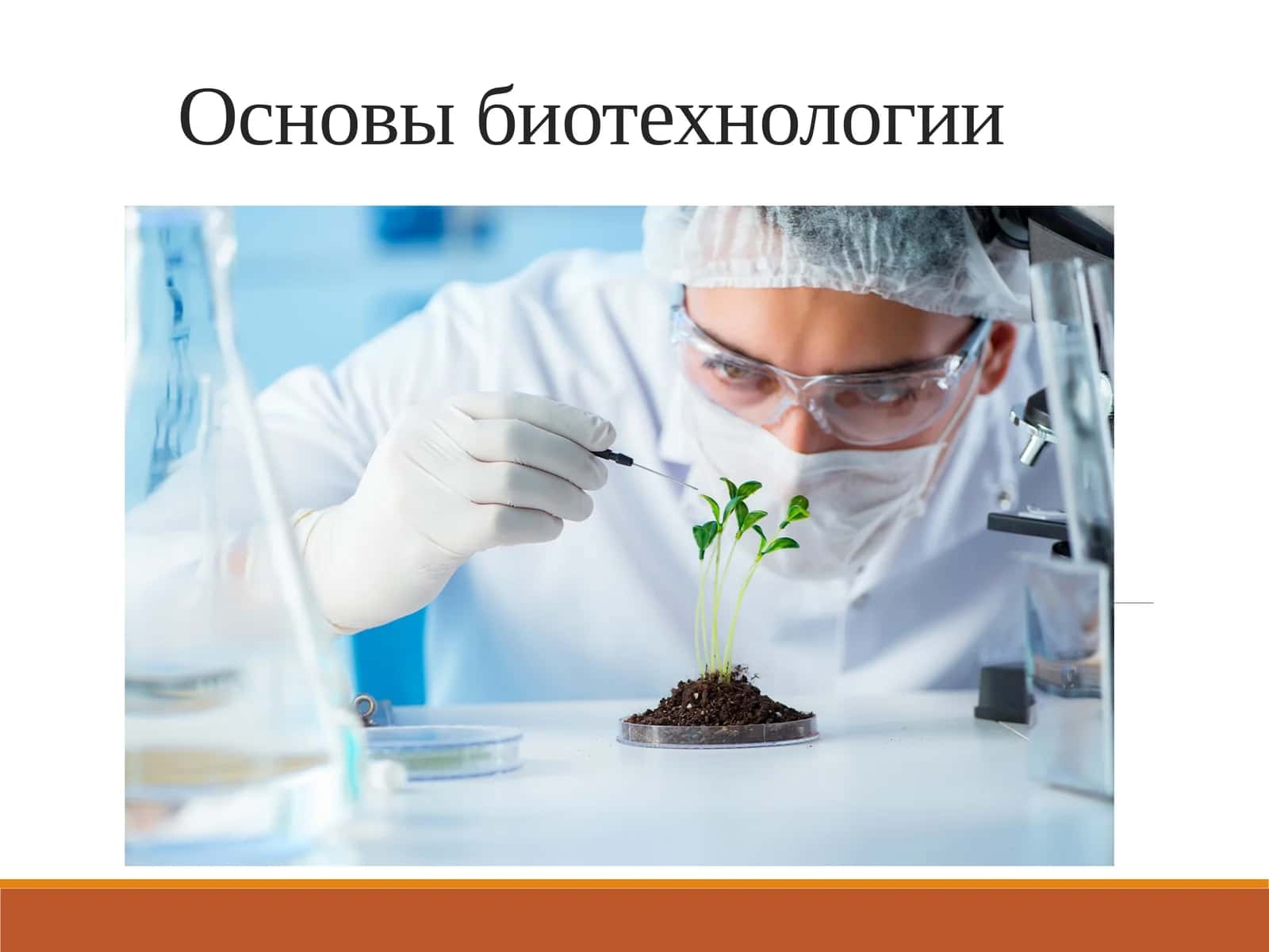 Основы биотехнологии