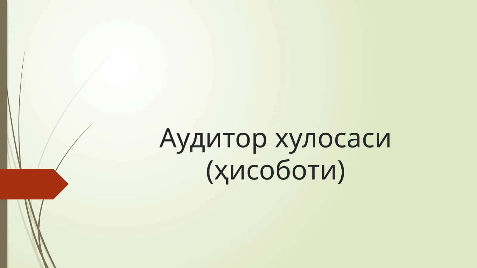 Аудитор хулосаси (ҳисоботи)