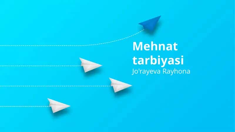 Mehnat tarbiyasi