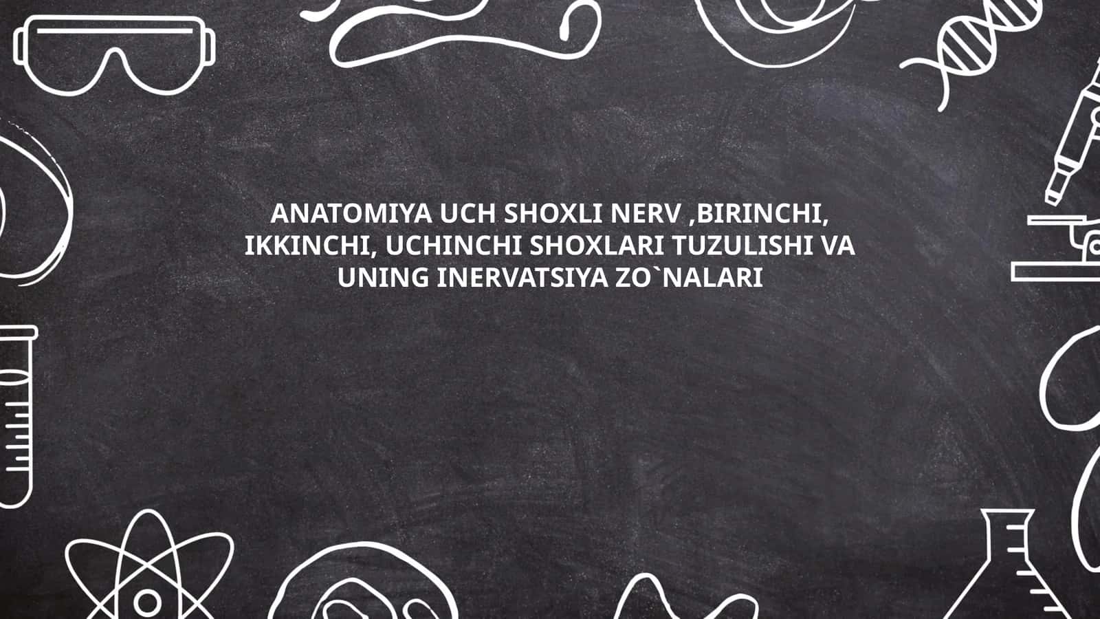 ANATOMIYA UCH SHOXLI NERV,BIRINCHI, IKKINCHI, UCHINCHI SHOXLARI TUZULISHI VA UNING INERVATSIYA ZO`NALARI
