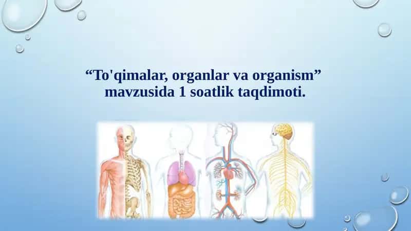 To'qimalar, organlar va organism