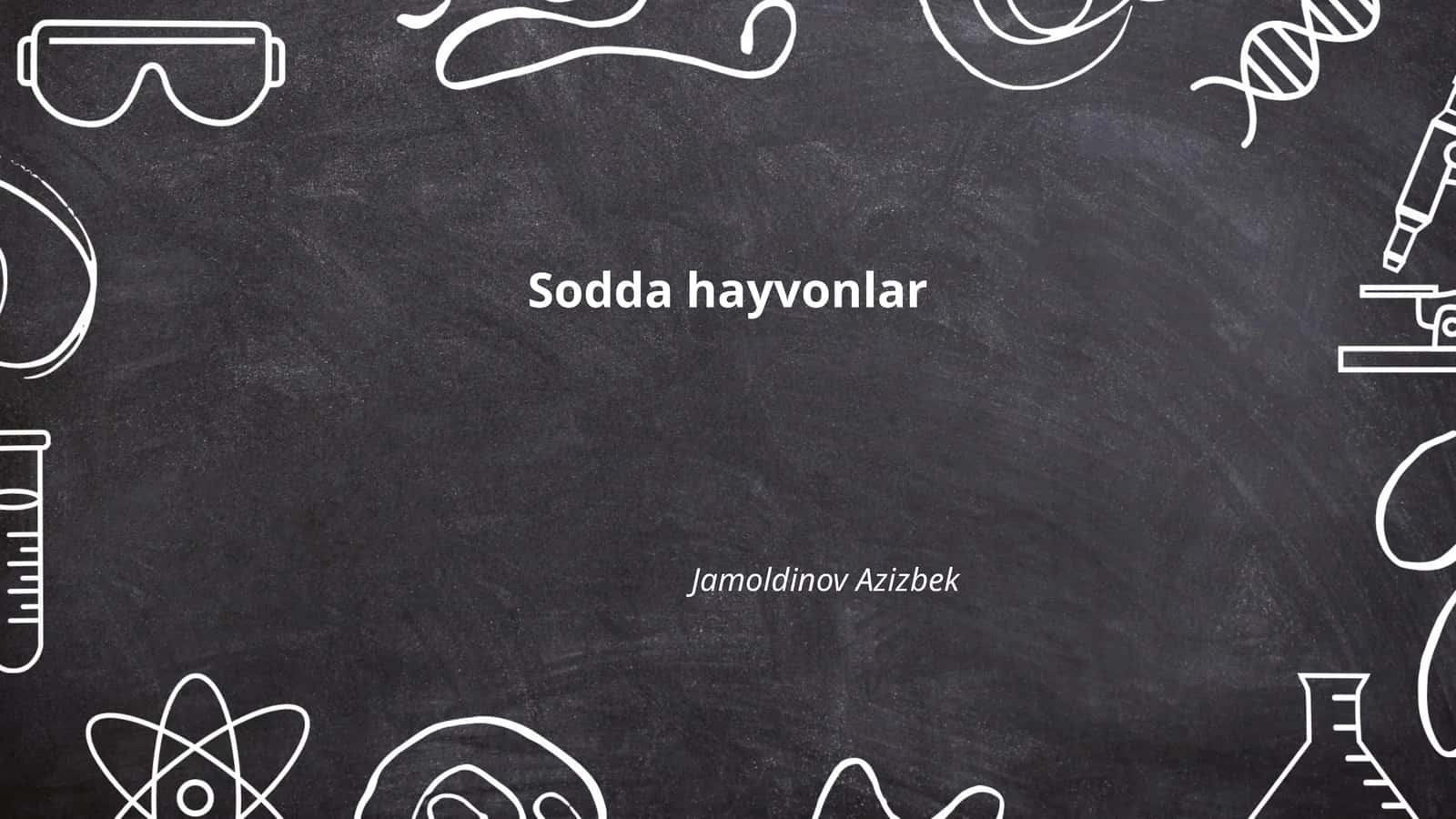 Sodda hayvonlar