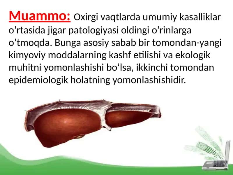 Jigarning o’zigа хоs tоmоnlаri