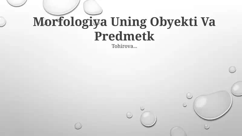 Morfologiya Uning Obyekti Va Predmeti