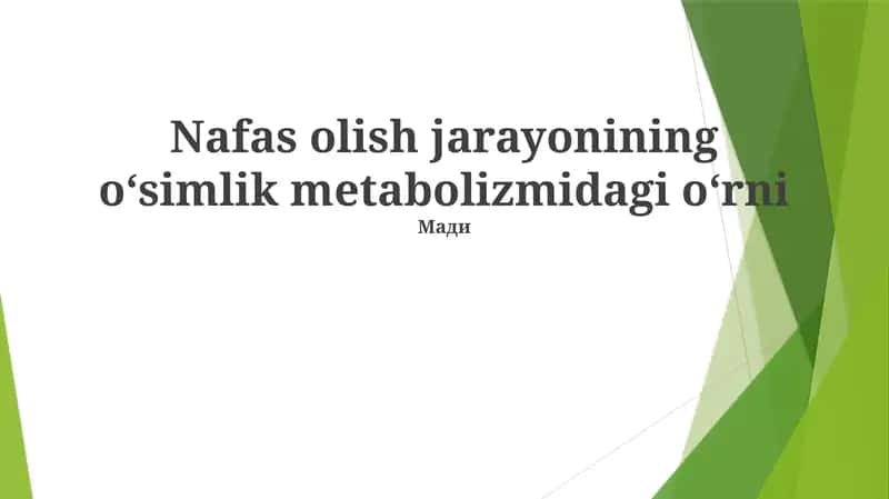 Nafas olish jarayonining oʻsimlik metabolizmidagi oʻrni