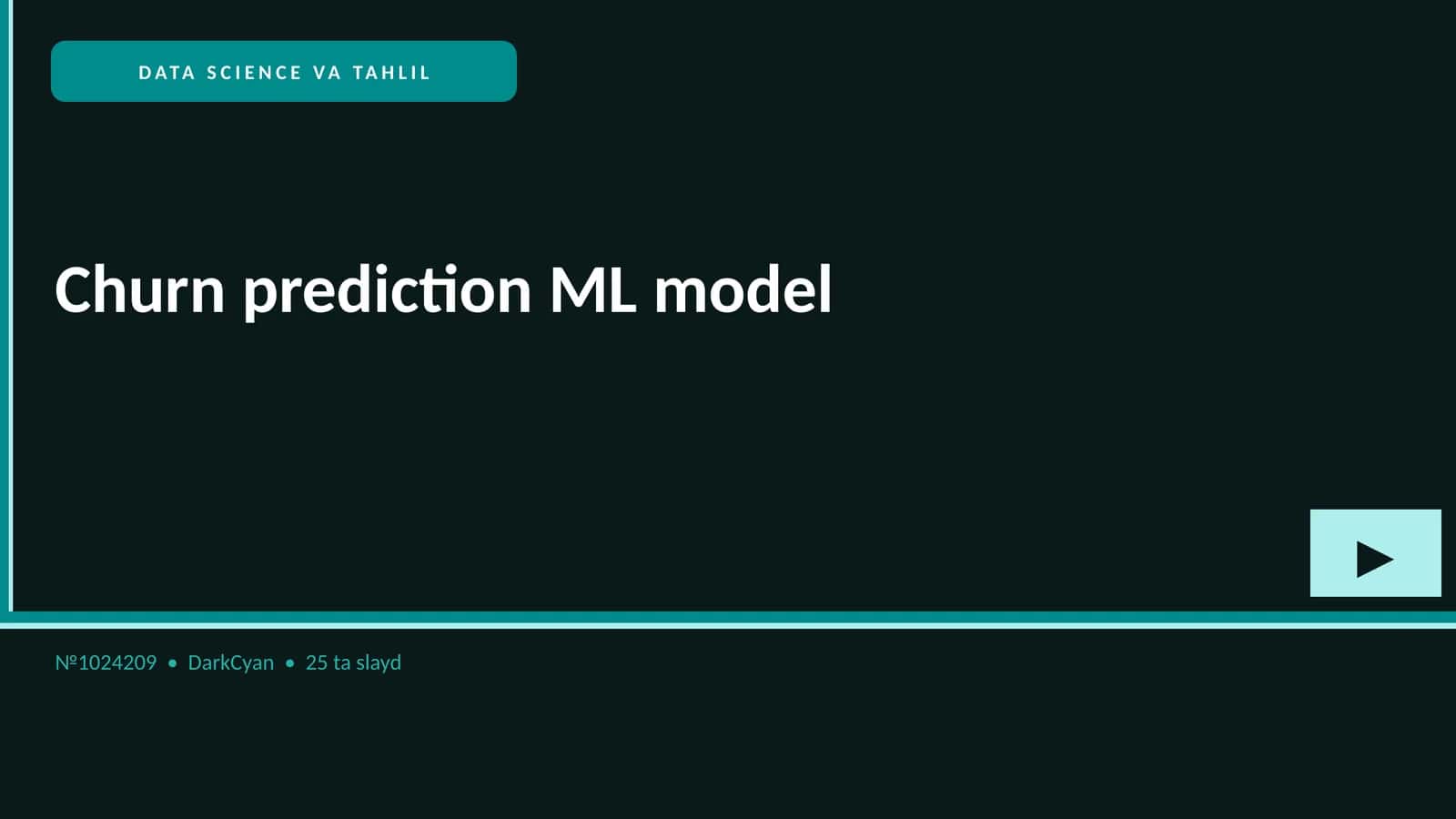 Churn prediction ML model
