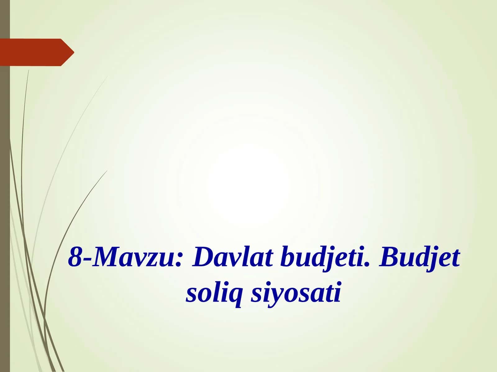 Davlat budjeti. Budjet soliq siyosati