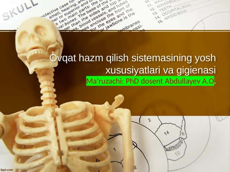 Ovqat hazm qilish sistemasining yosh xususiyatlari va gigienasi