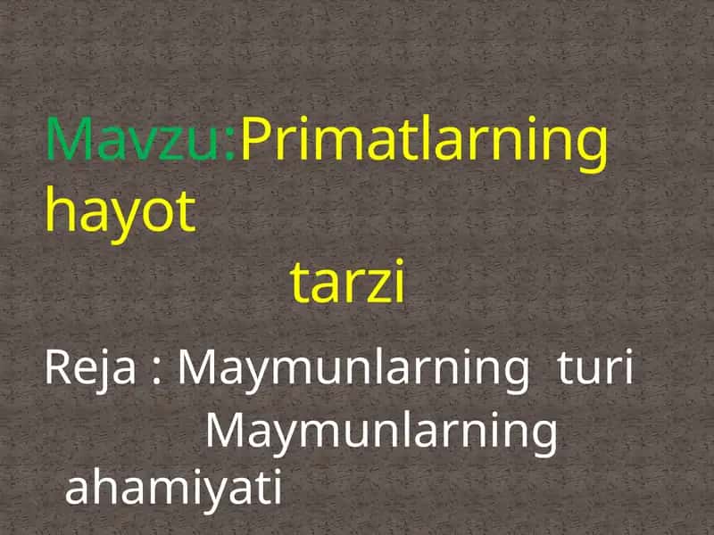 Primatlarning hayot tarzi