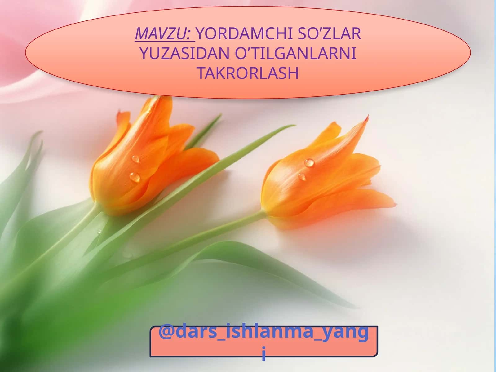 Yordamchi So’zlar Yuzasidan O’tilganlarni Takrorlash