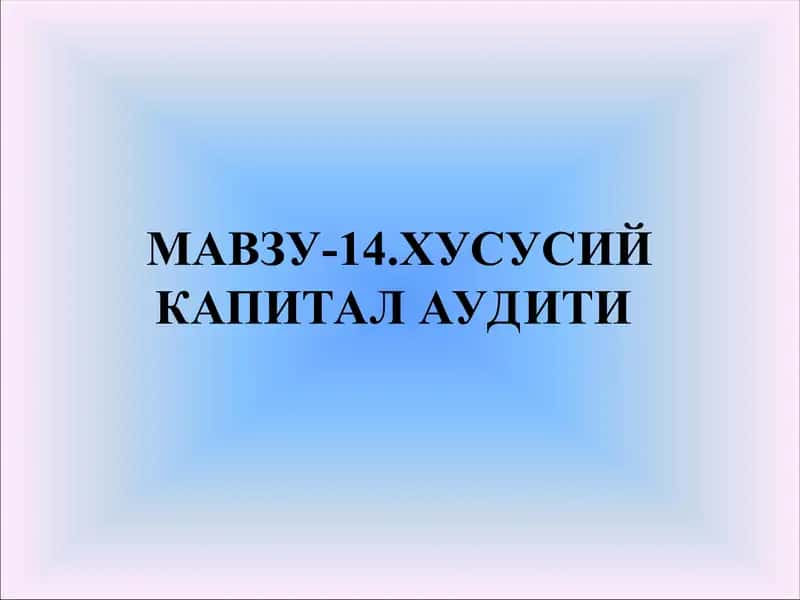 Xususiy kapital auditi