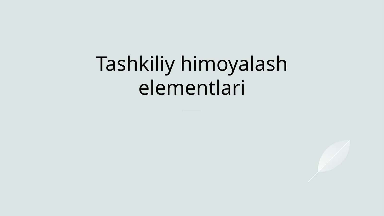 Tashkiliy himoyalash elementlari