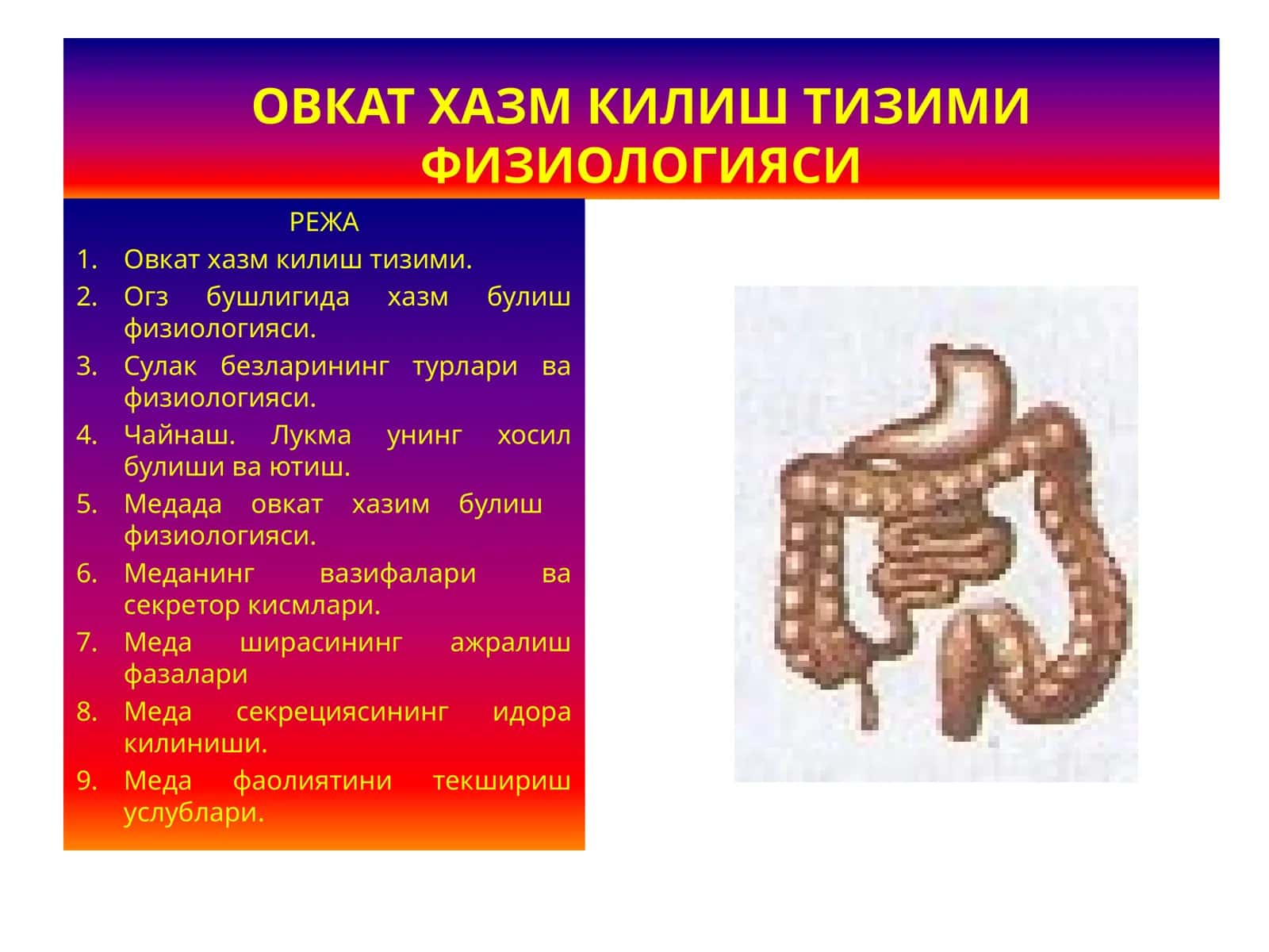 ОВКАТ ХАЗМ КИЛИШ ТИЗИМИ ФИЗИОЛОГИЯСИ