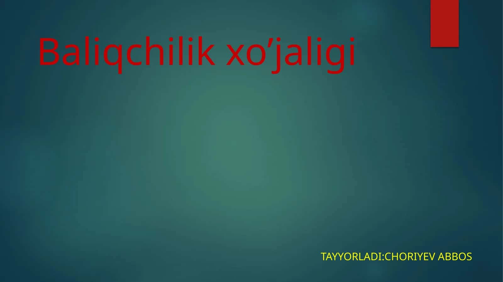 Baliqchilik xo’jaligi