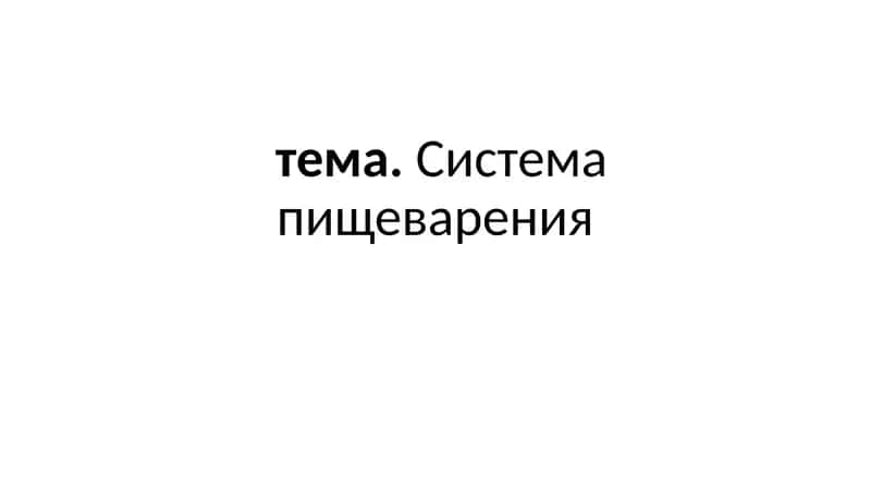 Система пищеварения