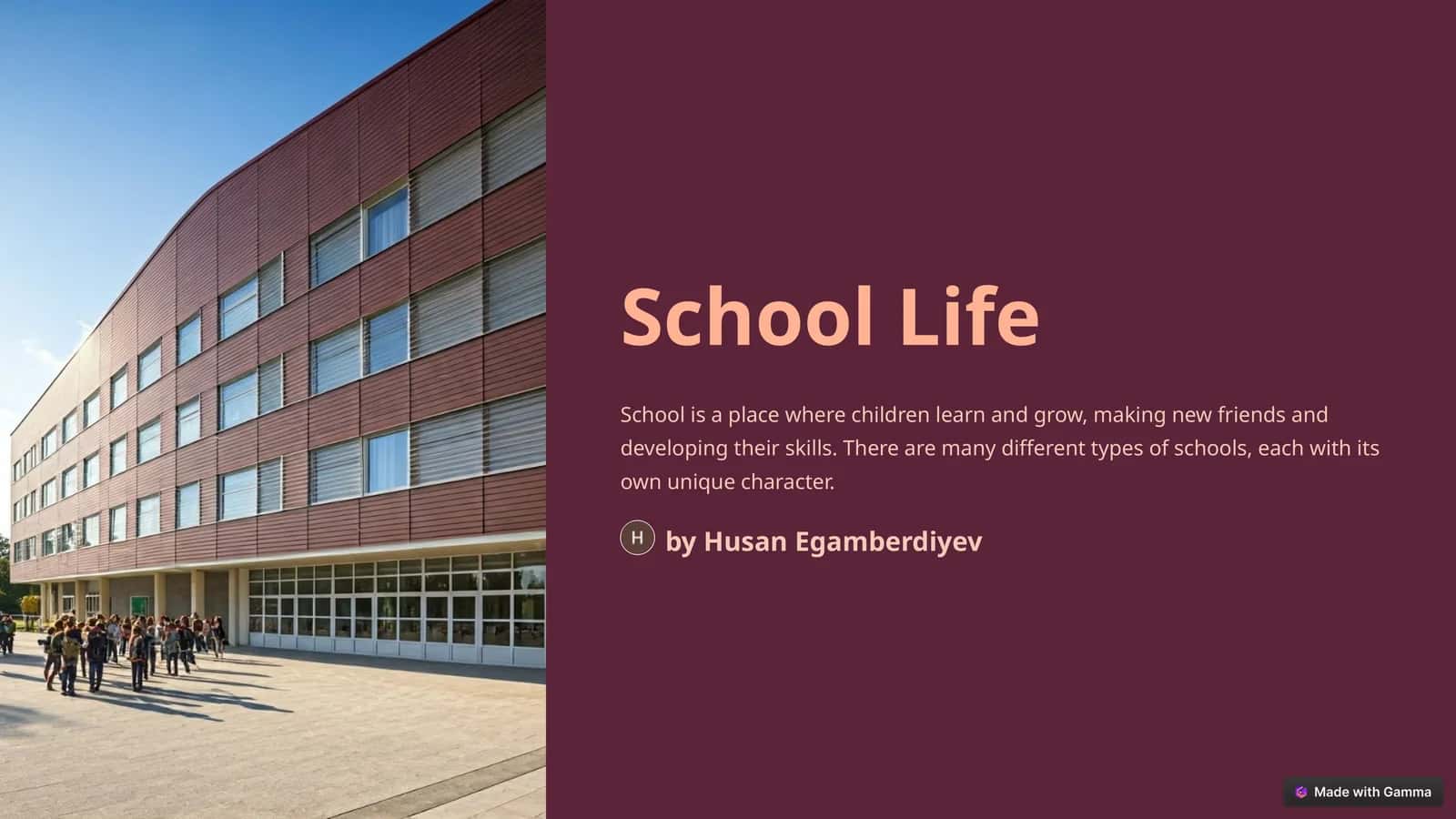 School Life