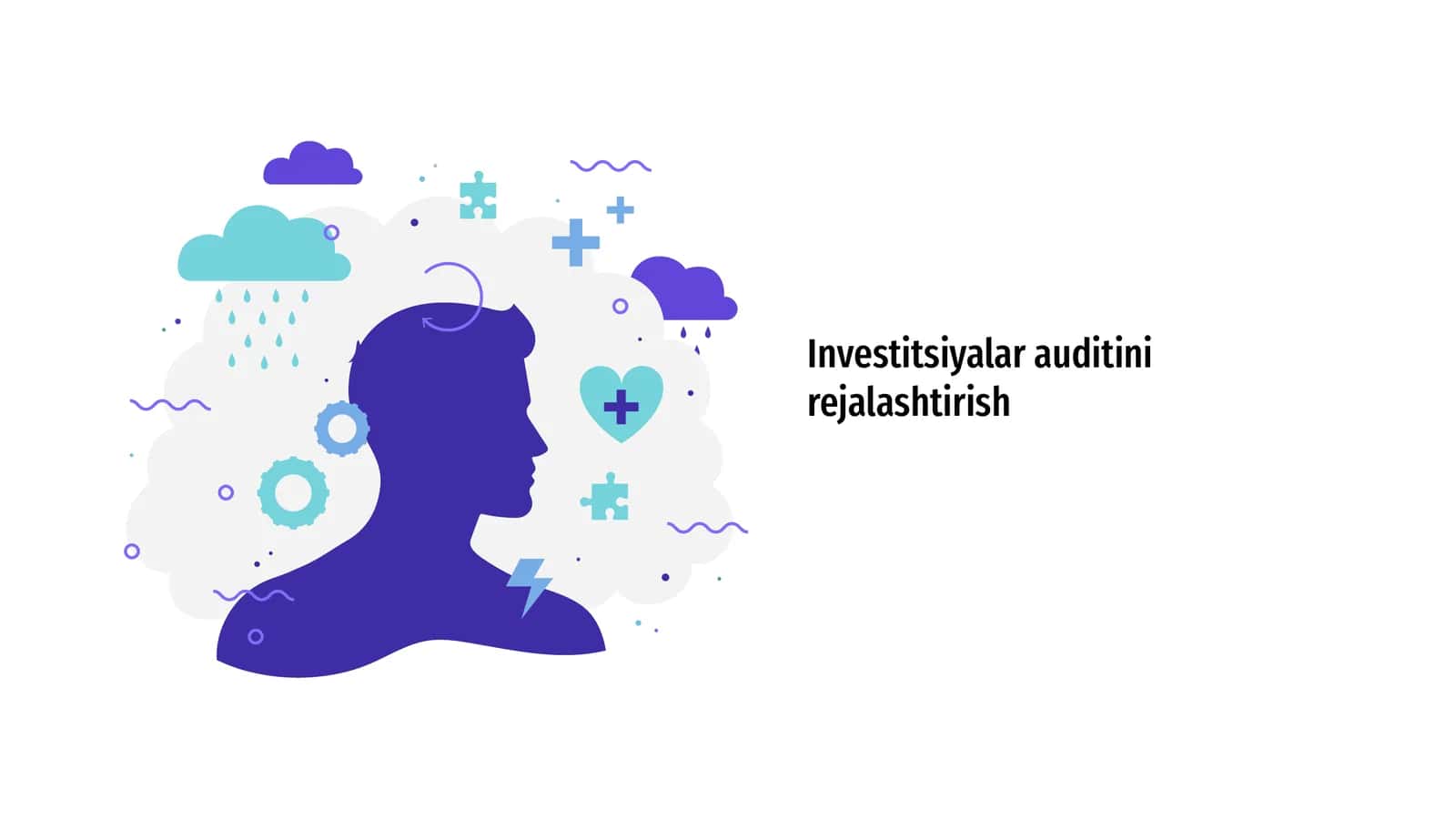 Investitsiyalar auditini rejalashtirish