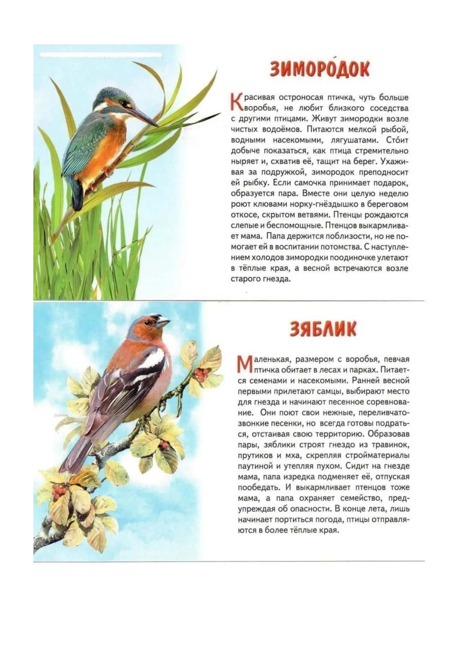 Mavzu 1: Adabiyot fanining rivojlanishi va ahamiyati